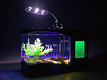 USB Aquarium with Alarm Clock and Thermometer