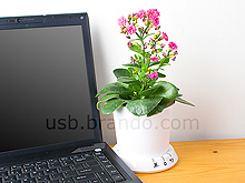 USB Flower Pot