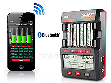 SkyRC NC2500 AA/AAA Battery Charger & Analyzer