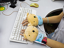 USB Bear Heating Gloves