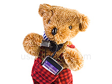 USB Rocking Teddy