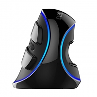 Delux M618 Plus USB Ergonomic Vertical Mouse (Blue Light Version)