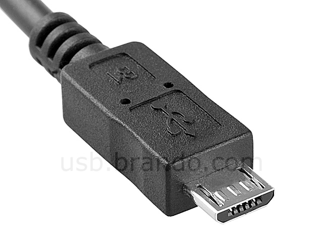 Mini B 5 Pin Male To Micro B Male Short Cable 0432