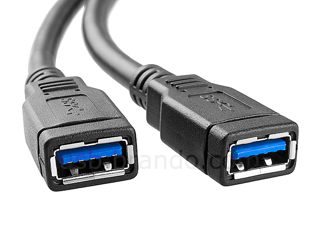 USB 3.0 20-Pin Header to USB 3.0 Type-A Short Cable