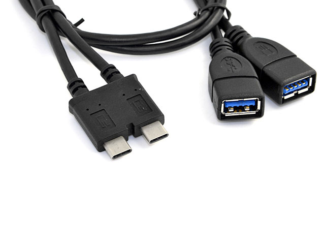 Dual USB 3.1 Type-C OTG Cable