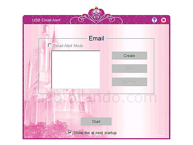 Disney Princess USB Email Alert