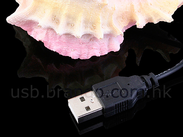 USB Conch Shell 3-Port Hub