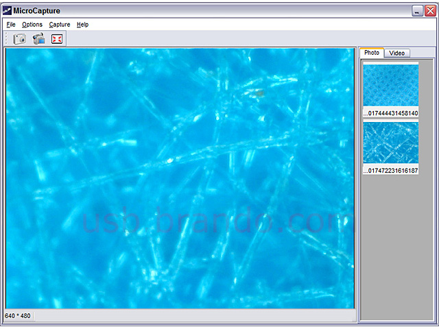 USB Digital Microscope with 8 LEDs (400X)