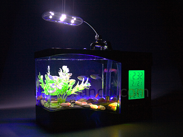 USB Aquarium with Alarm Clock and Thermometer