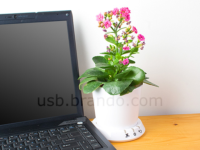 USB Flower Pot