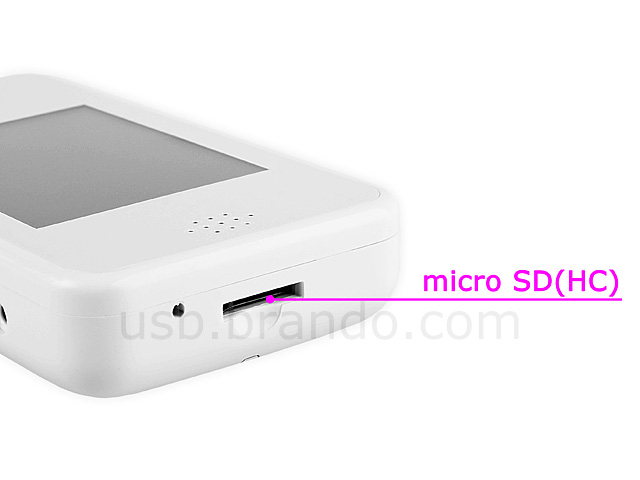 USB Home Endoscope with Mini DVR