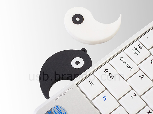 USB Tai Chi Flash Drive