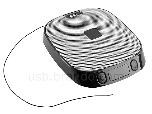 USB Portable Speaker (P-302S)