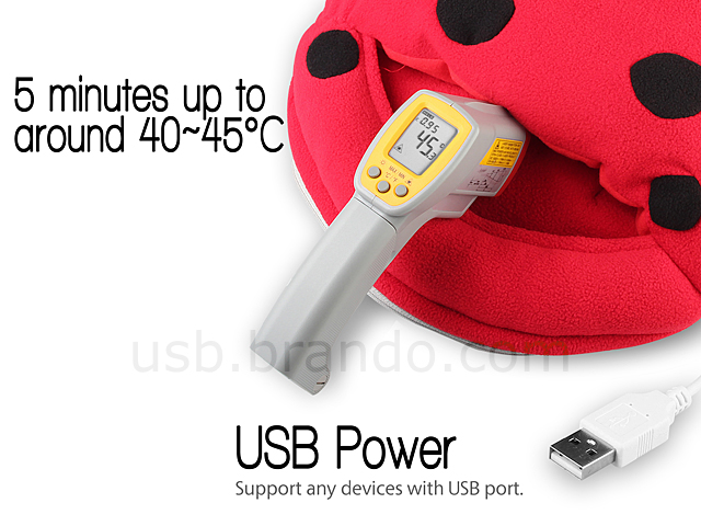 USB Ladybug Heating Slipper