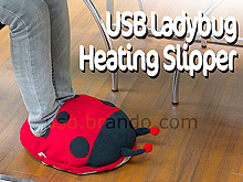 USB Ladybug Heating Slipper