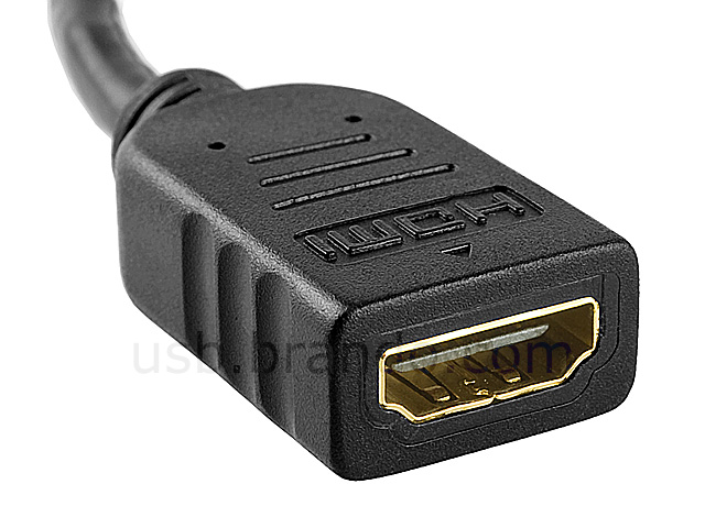 Display Port Male to HDMI Female Cable