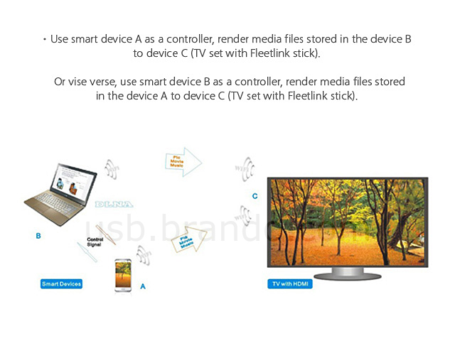 Fleetlink Stick 1080P DLNA Media Sharing Wireless HDMI