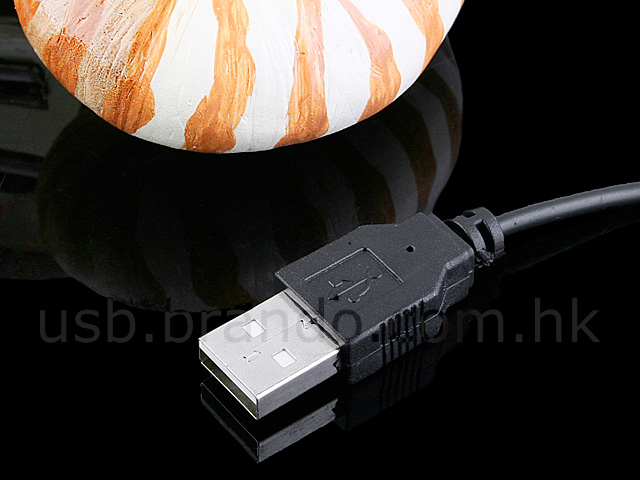 USB Chambered Nautilus Shell 3-Port Hub