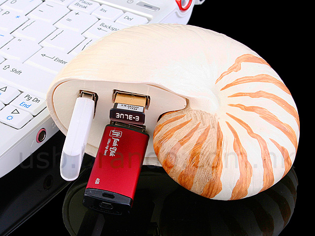 USB Chambered Nautilus Shell 3-Port Hub