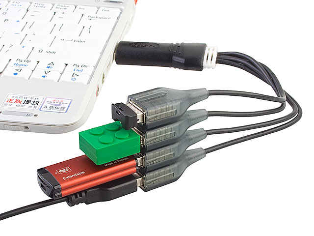 USB Endlap 4-Port Hub Cable