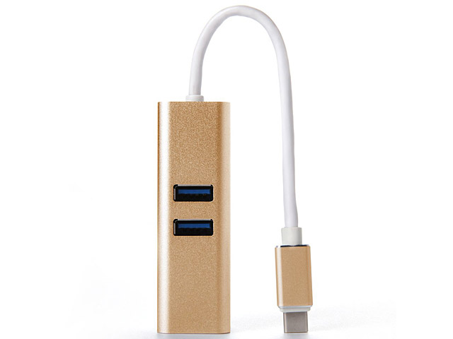 USB 3.1 Type-C 2-Port Charging Hub