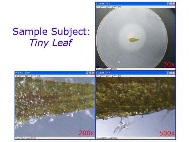 USB Digital Microscope + Web Cam + USB2.0 Hub