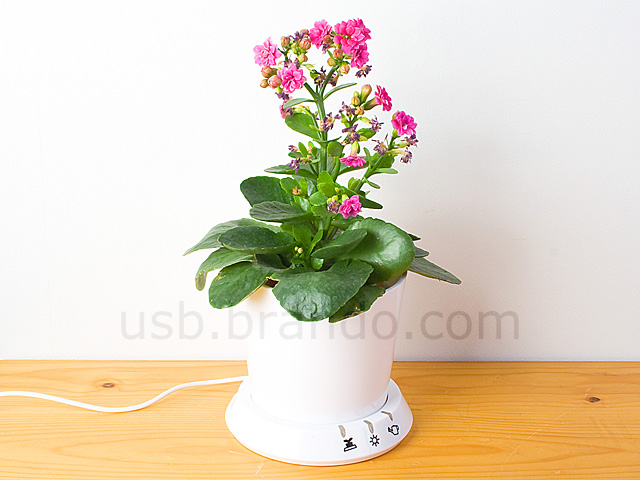 USB Flower Pot