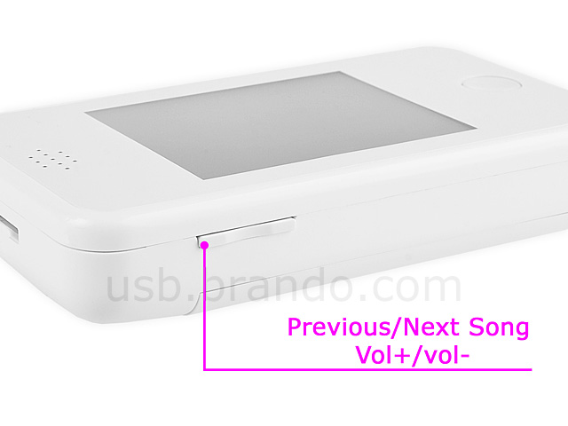 USB Home Endoscope with Mini DVR