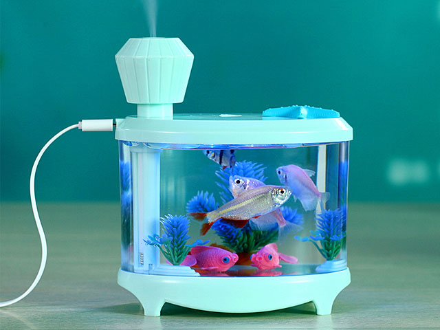 fish mini aquarium