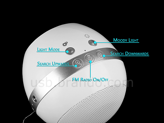 USB Living Light with Radio Speaker