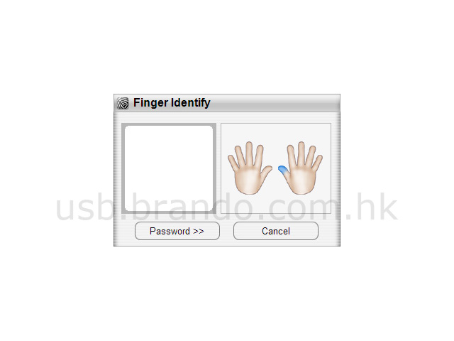 Secure Finger Print USB Disk (1GB)