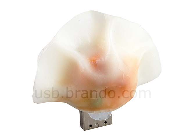 USB Chinese Dumpling Flash Drive