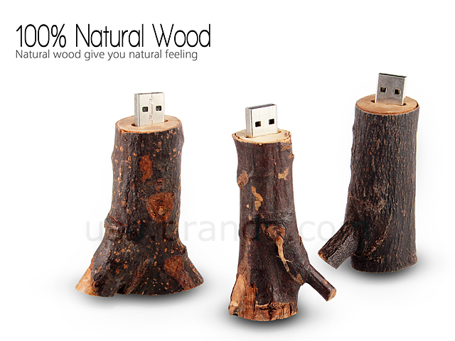 USB Nature Wooden Flash Drive