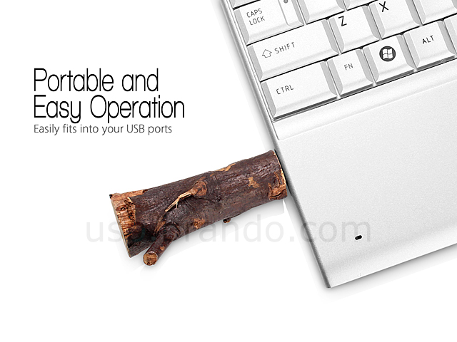 USB Nature Wooden Flash Drive