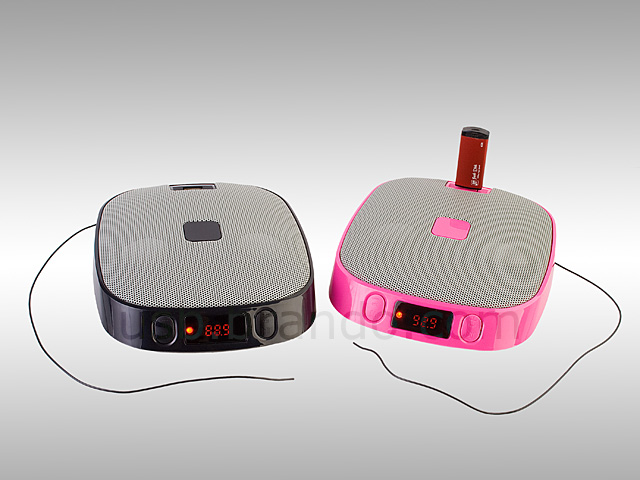 USB Portable Speaker (P-302S)