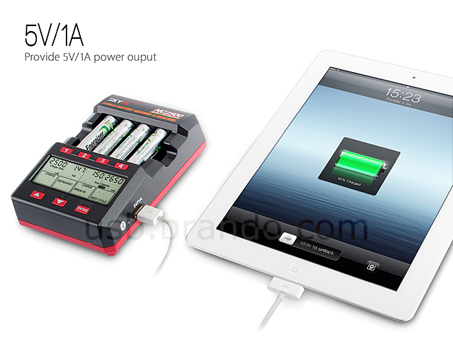 SkyRC NC2500 AA/AAA Battery Charger & Analyzer