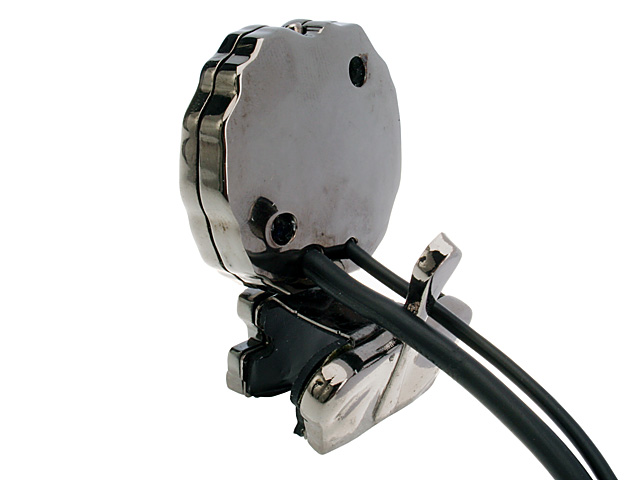 USB Lion Web Cam with Microphone