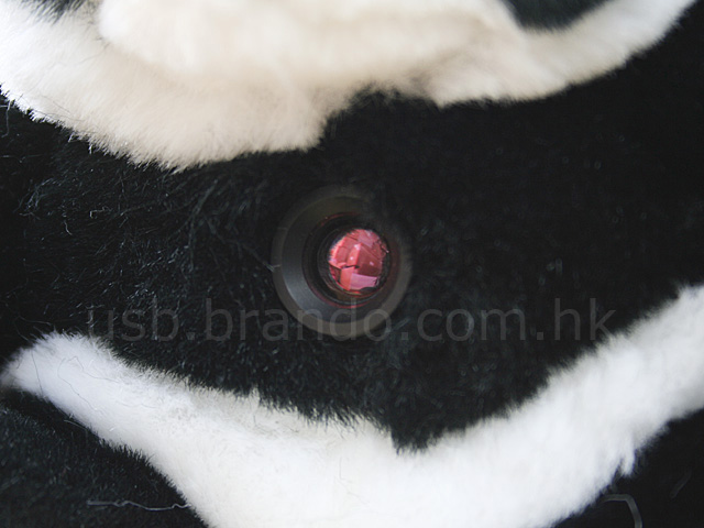 USB Panda Web Cam