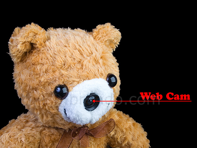 USB Bear Web Cam