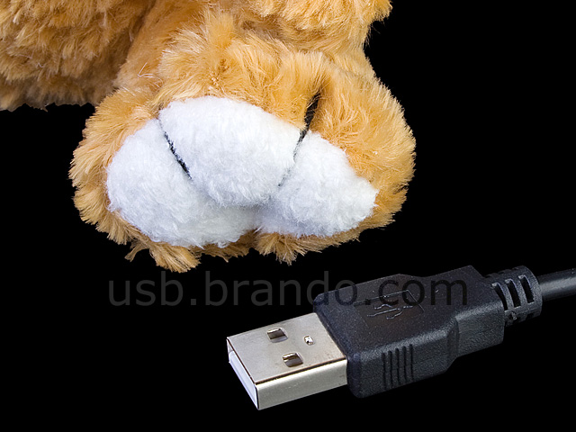 USB Bear Web Cam