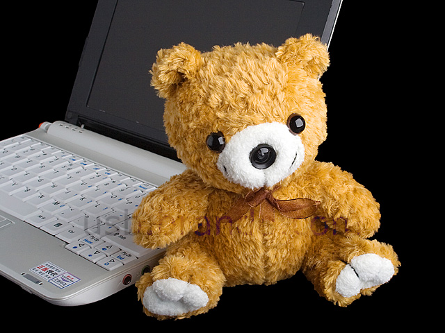 USB Bear Web Cam