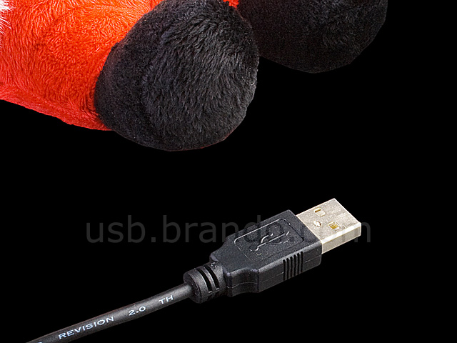 USB Santa Claus Web Cam